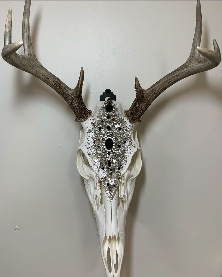 Paroží - kaminky N°14 (ilustrační obrázek)